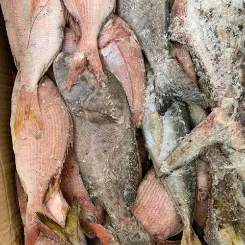 AF MIX 20KG