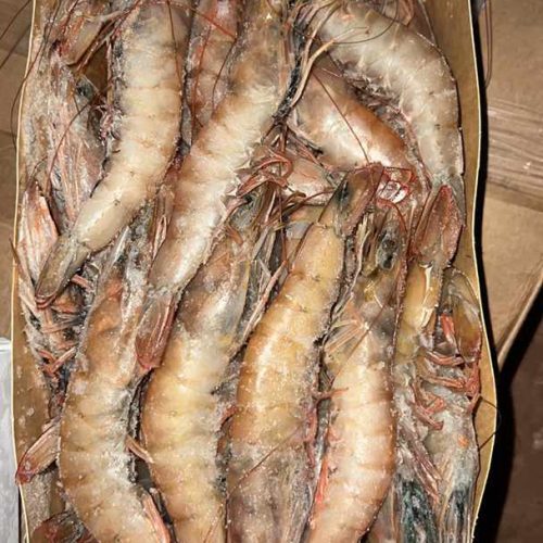 CREVETTES