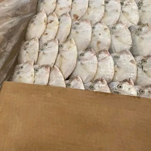 FANTA( Mousso) 20KG