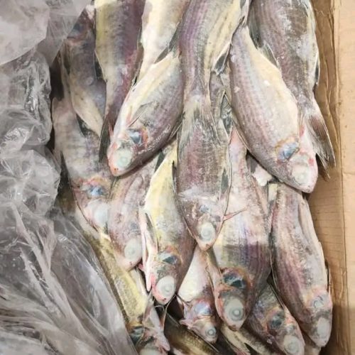 SABADO(Tièkem) 20KG