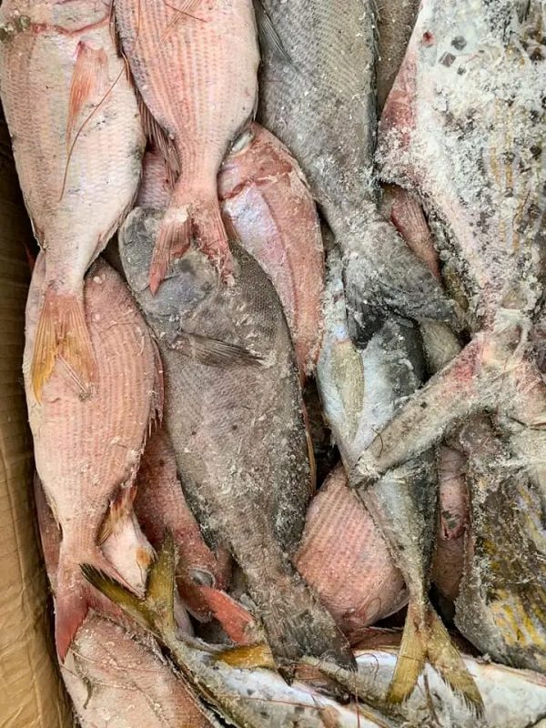 AF MIX 20KG