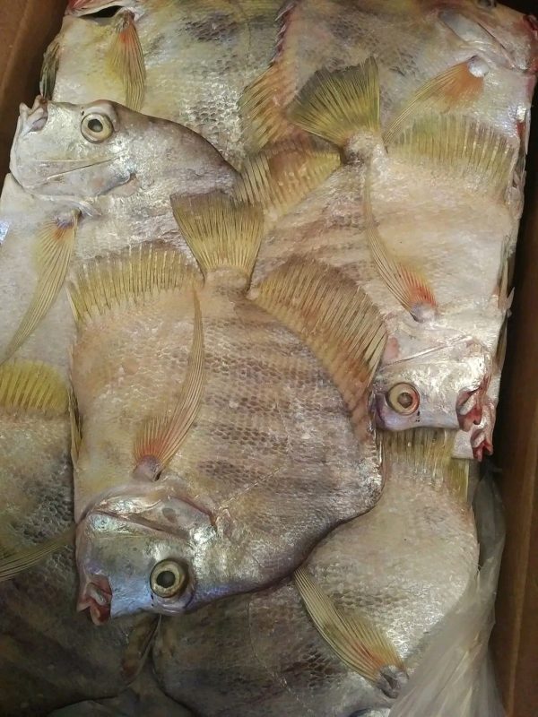 PLAPLAT G 20KG