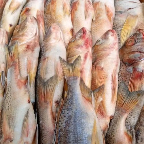 SOMPATE G 20KG