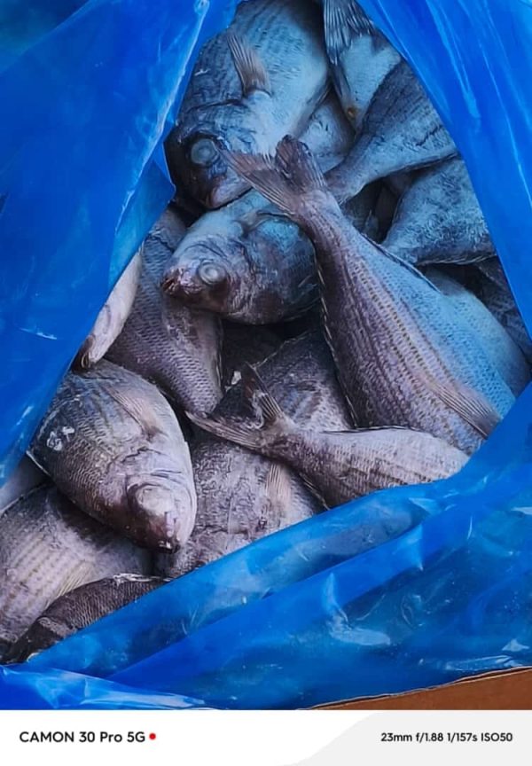 CHOPA G 20KG