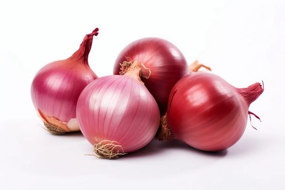 Oignon sac 25kg (500f/kg)